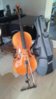 cello foto1.jpg