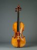 the-amati-alard-1371724182-view-1.jpg