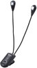 7283203_800.jpg