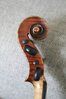 Violin_3.jpg