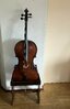 Cello in standaard.JPG Cello in standaard.JPG