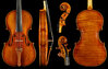 Guarneri copy.jpg