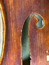 IMG_8254.JPG